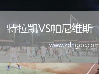 特拉凱VS帕尼維斯