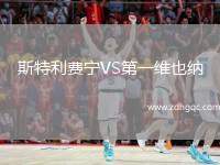 斯特利費寧VS第一維也納