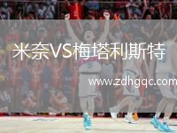 米奈VS梅塔利斯特