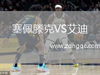 塞佩滕克VS艾迪