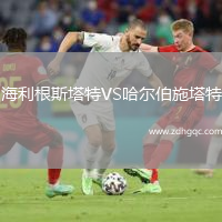 海利根斯塔特VS哈爾伯施塔特