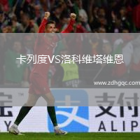 卡列度VS洛科維塔維恩