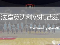 法拿莫達(dá)利VS托武茲
