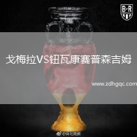 戈梅拉VS鈕瓦康賽普森吉姆