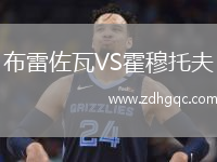 布雷佐瓦VS霍穆托夫
