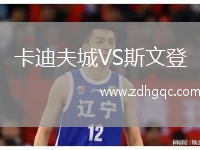 卡迪夫城VS斯文登