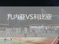 幾內(nèi)亞VS利比亞