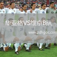 華亞格VS維京B隊